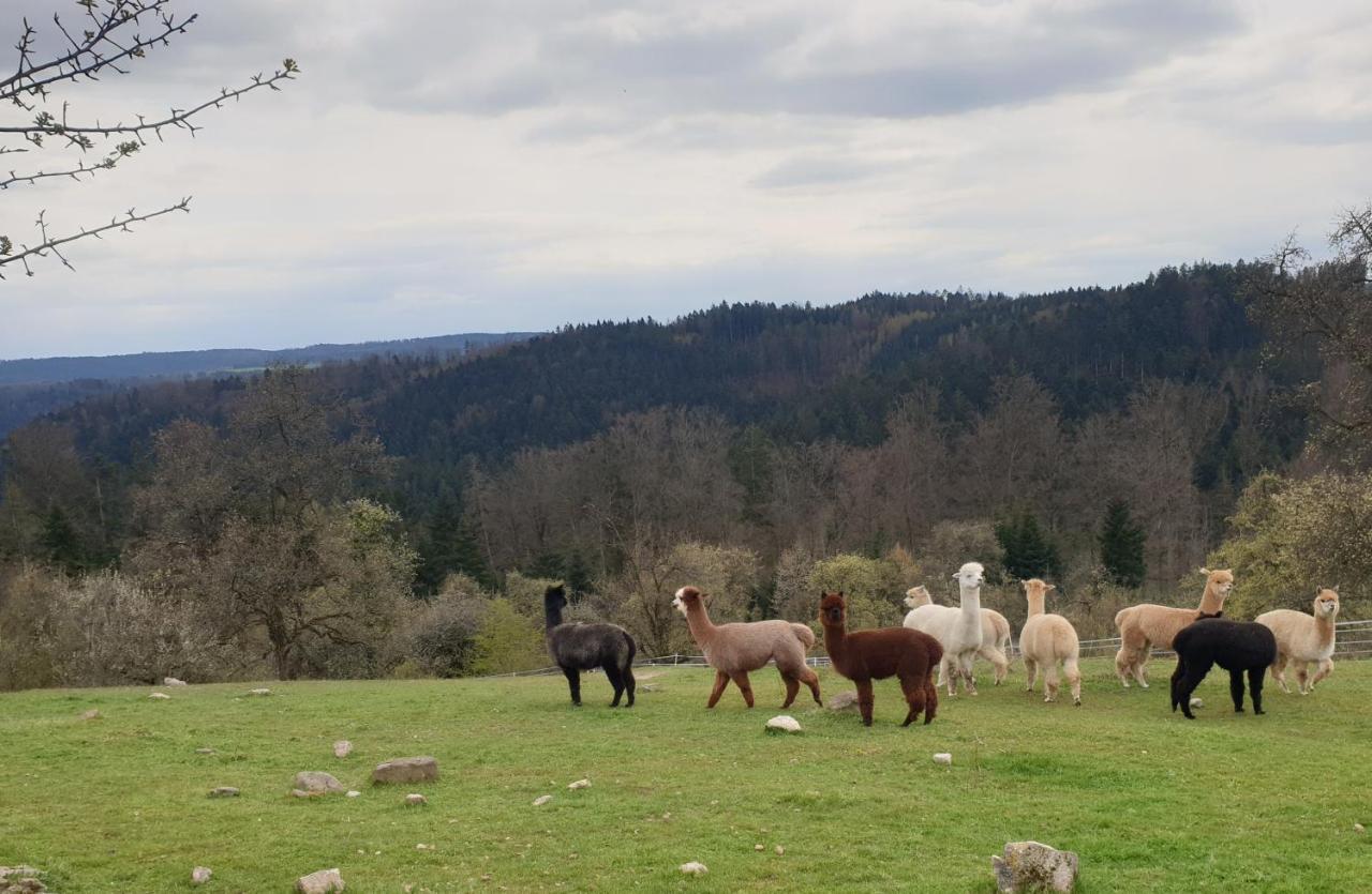 Lana Salta Alpakas - Gemuetliche Ferienwohnungen Auf Dem Bauernhof Murrhardt Luaran gambar