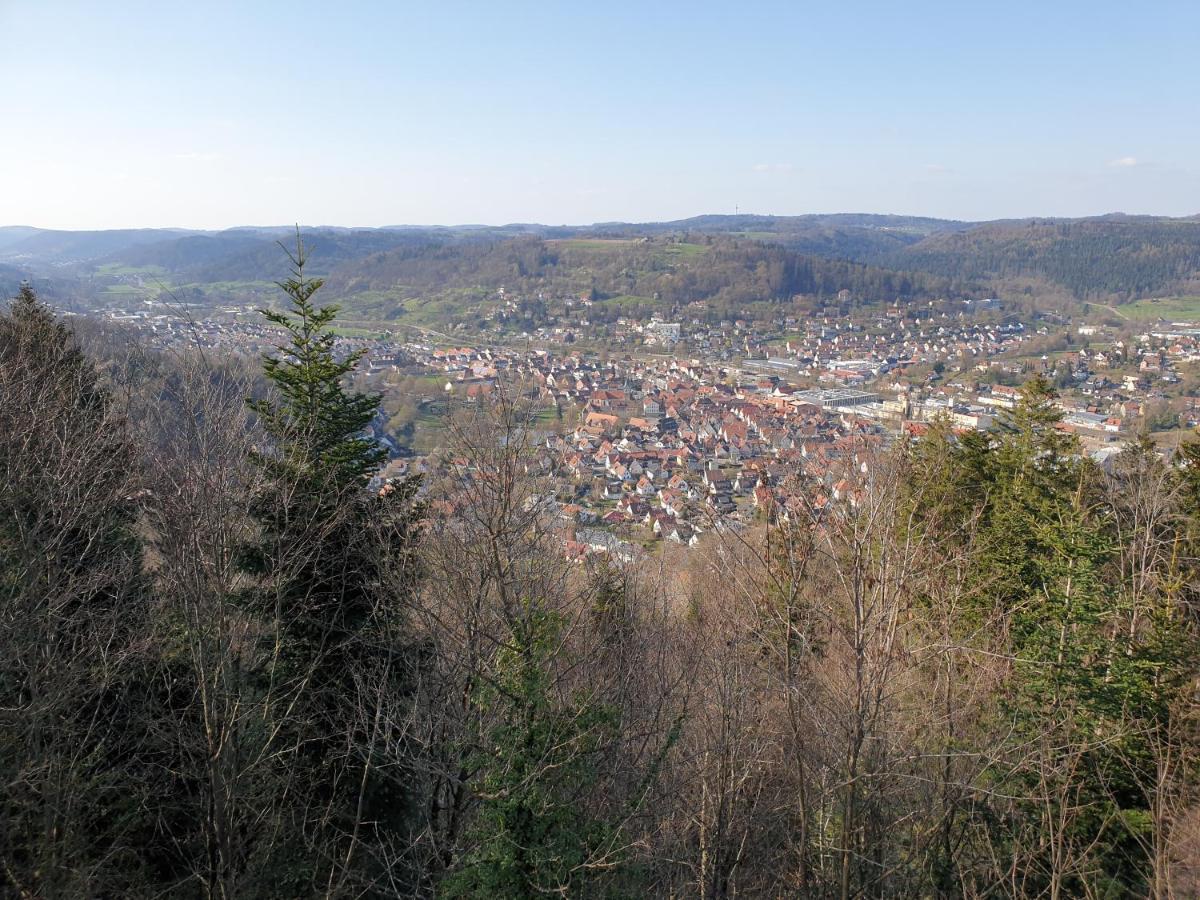 Lana Salta Alpakas - Gemuetliche Ferienwohnungen Auf Dem Bauernhof Murrhardt Luaran gambar