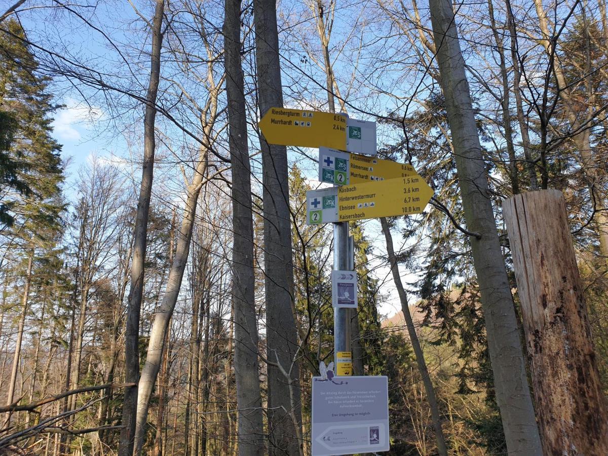 Lana Salta Alpakas - Gemuetliche Ferienwohnungen Auf Dem Bauernhof Murrhardt Luaran gambar